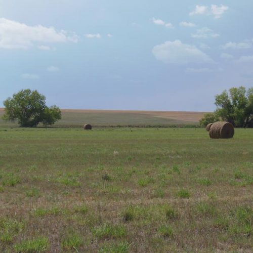 View To The West with hay in a field