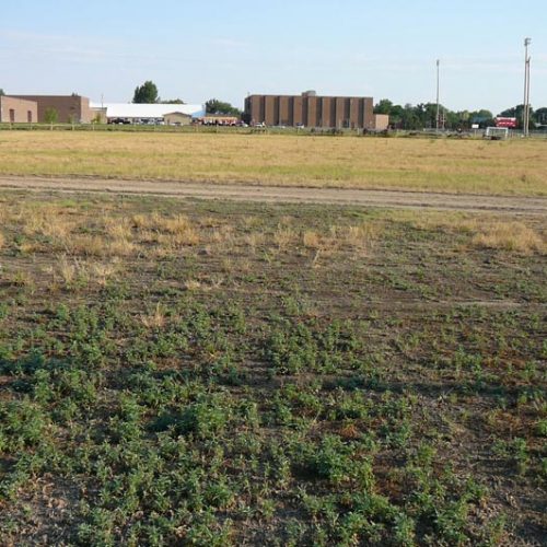 View of Strasburg High School Bordering Property on the South