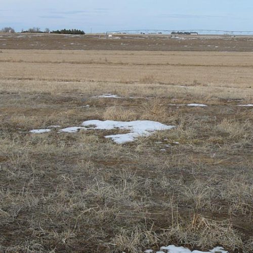view of a field with a bit of snow on the ground