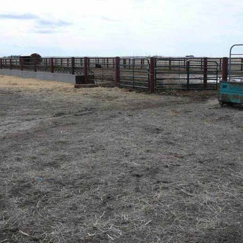 Empty cattle corral