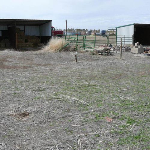 Two sheds next to each other