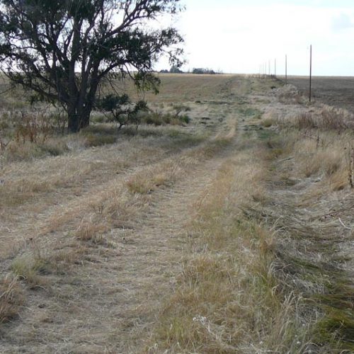 Old rough road going into a large field