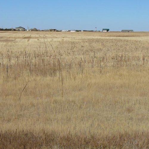 Large field with houses in the background