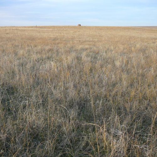 Plain with brown grass and a round hay bale in the distance