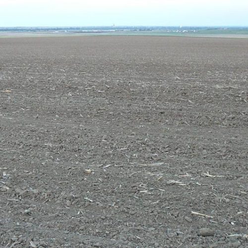 A large section of gravel.
